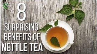 8 Surprising Benefits Of Nettle Tea  Organic Facts [upl. by Kcirdorb]