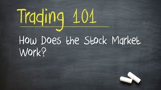 Trading 101 How Does the Stock Market Work [upl. by Dareg383]