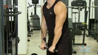 Extension de triceps con polea alta [upl. by Nol]