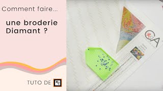 Comment faire une broderie Diamant Diamond painting 💎   Tuto La Maison du Canevas [upl. by Jauch]