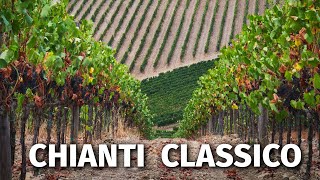 Great Italian Wines CHIANTI CLASSICO [upl. by Aicercal992]