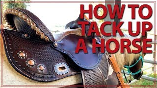 How to Saddle a Horse Western Style  Jeffers Equine [upl. by Hesper]