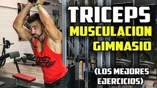 ➤ TRICEPS  Los MEJORES EJERCICIOS de TRICEPS de Musculación EN EL GYM [upl. by Lew500]