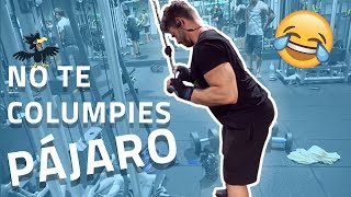 Extensión de triceps en polea en 1 minuto FORTALECER TRÍCEPS [upl. by Lubbi163]