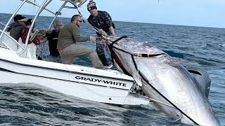 Amazing Fastest Giant Bluefin Tuna Fishing Skill  Most Satisfying Sea Fishing Video [upl. by Doane]