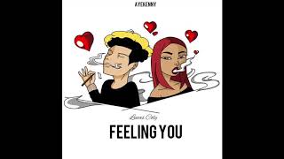 Lucas Coly  Feeling You [upl. by Kerns]