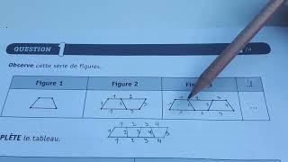 Q1 CE1D mathématique 2023 Dénombrements [upl. by Seligmann]