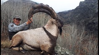 BEZOAR IBEX HUNTING TURKISH FRONTIER amp MUSTAFA YILMAZ [upl. by Hoon]