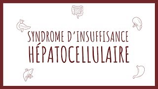 Sémiologie Hépatique  Insuffisance Hépatocellulaire [upl. by Port]