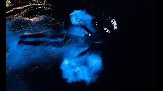 Swimming in a GLOWING OCEAN  Incredible Bioluminescence [upl. by Benenson]