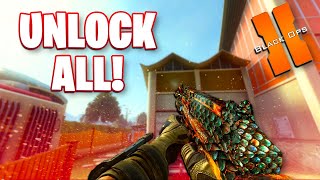 HOW TO GET MAX LEVEL AND UNLOCK ALL IN BLACK OPS 2 PLUTONIUM [upl. by Negaem]