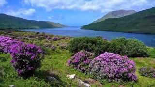 quotThe Irish washerwoman quot by Leroy Anderson [upl. by Aneloj]