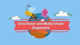 Unicellular and Multicellular Organisms [upl. by Schecter122]