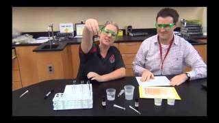 Enzyme lab introduction [upl. by Atnes]