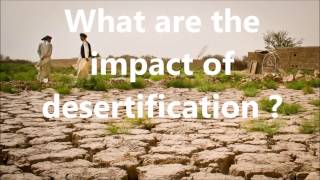 Desertification causes impact and solutions [upl. by Alrac]