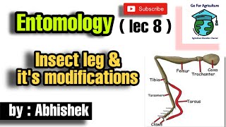 Insects leg its modifications  Types of insects leg  Entomology lec 8  Go For Agriculture [upl. by Leal160]