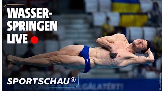 Die Finals 2021  Live  Wasserspringen Einzel und Synchron der Frauen und Männer  Sportschau [upl. by Evey]