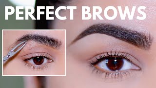 HOW TO GROOM SHAPE amp MAINTAIN EYEBROWS AT HOME BEGINNER FRIENDLY [upl. by Fausta231]