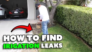 LEAKS Destroying Your Home Irrigation System Fix Them FAST [upl. by Reltuc260]