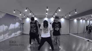 EXO Intro Dubstep [upl. by Gina979]