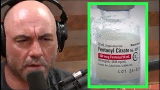 Joe Rogan  The History of Fentanyl [upl. by Waneta160]