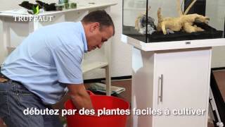 Comment installer des plantes daquarium   Truffaut [upl. by Skinner940]