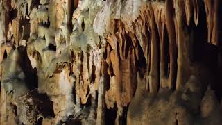 La Grotta Gigante di Trieste ingresso e spiegazione iniziale [upl. by Vahe]