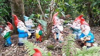 Garden Centre Have Worlds Largest Gnome Collection [upl. by Byler]