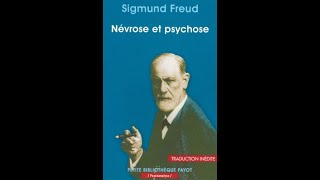 ➡️ La psychose  Paranoïaque schizophrène bipolaire comment les comprendre   La psychanalyste [upl. by Aihsenet]