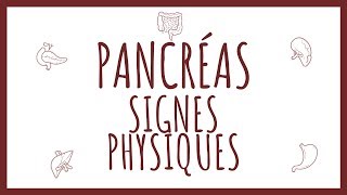 Sémiologie Pancréas  Signes Physiques [upl. by Onej965]