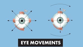 Eye Movements  Anatomical Movements vs Cardinal Positions of Gaze  MEDZCOOL [upl. by Ewnihc]