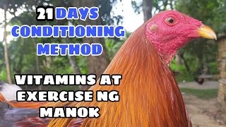 21 DAYS CONDITIONING METHOD vitamins amp exercise ng mga manok  BALERIANS GAMEYARD [upl. by Ambler]