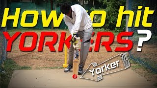 How to hit YORKERS  Cricket Batting tips  Nothing But Cricket [upl. by Eniarral]