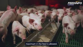 NOVUS’ Strategy for PostWeaning Swine Challenges  Feedinfo Shorts [upl. by Aryhs]