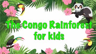 Facts about the Congo Rainforest For kids [upl. by Sokem]