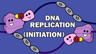 DNA REPLICATION 13  INITIATION [upl. by Fem]