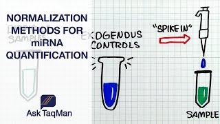 Normalization Methods of miRNA Quantification  Ask TaqMan 40 [upl. by Elinad533]