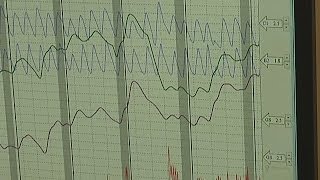 How it Works Polygraph Test [upl. by Nonregla140]