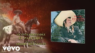 Vicente Fernández  El Palenque Audio [upl. by Legnaros]