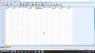 how to analyze categoricalgender data SPSS [upl. by Frida]