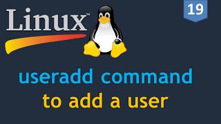 19  Linux for DevOps  Creating a User  useradd command  How to add a user on Linux [upl. by Linoel]