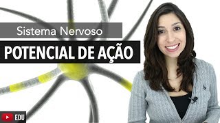 Sistema Nervoso 56 Potencial de ação [upl. by Ahouh860]