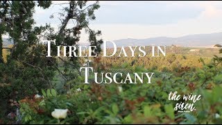 Three Days In Tuscany  Three Wineries in Montalcino [upl. by Ainadi]