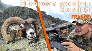 European mouflon Hunting in France  Chasse au Mouflon en France  2021 [upl. by Newol]