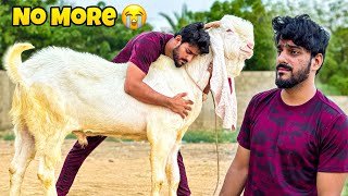 Gabbar is NO MORE with Us😭  Emotional Vlog  Pets  MISHKAT KHAN [upl. by Adihsaar596]