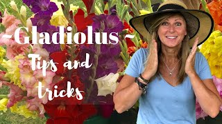 Gladiolus Tips and Tricks  Kelly Lehman [upl. by Santini]