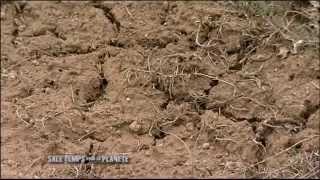 Tempêtes de sable  la désertification en Chine [upl. by Victoria938]