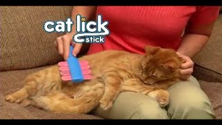 Cat Lick Stick As Seen On TV Commercial Cat Lick Stick As Seen On TV Cat Groomer As Seen On TV Blog [upl. by Riocard]