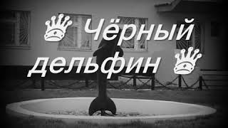 Черный Дельфин текст песни lyrics [upl. by Aneehsirk]