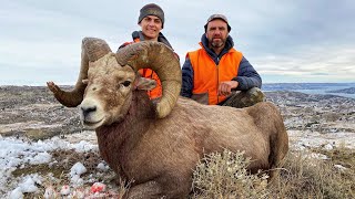 Epic Montana Bighorn Sheep Hunting Boone and Crockett Ram 2020 [upl. by Ndnarb]